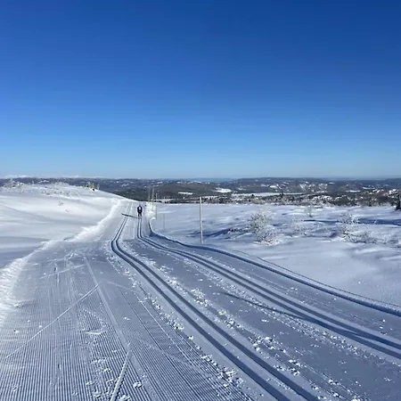 In-ski Out By The Kids Slope Fagerfjell *